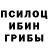 Псилоцибиновые грибы GOLDEN TEACHER clint kelsall