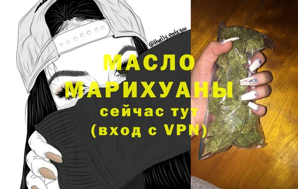 прущий лед Вяземский