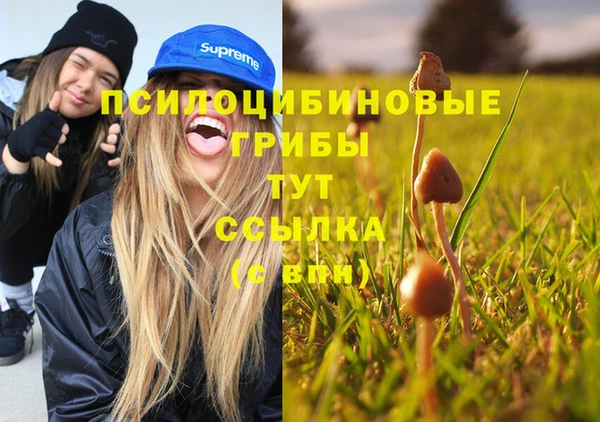 эйфоретик Вязьма