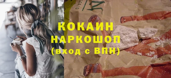 прущий лед Вяземский