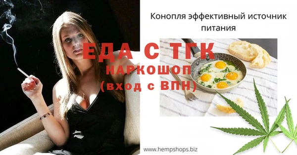 прущий лед Вяземский